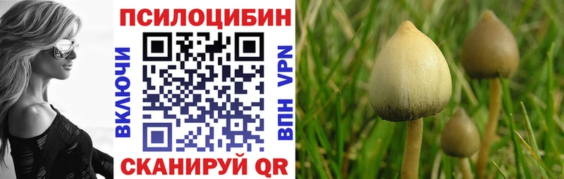 Галлюциногенные грибы мухоморы  Тотьма 